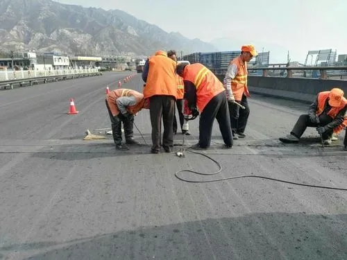 滨湖道路桥梁病害治理